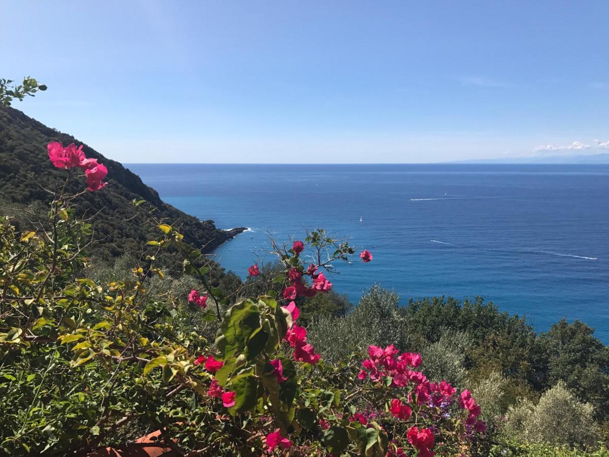Villa Cielomare Camogli Luaran gambar